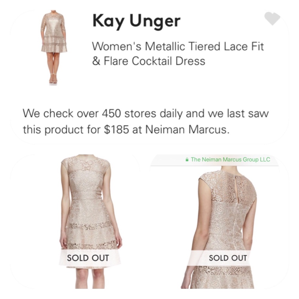 NEW Kay Unger New York Lace Overlay Dress  Sz16 - Picture 8 of 8